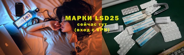 индика Беломорск