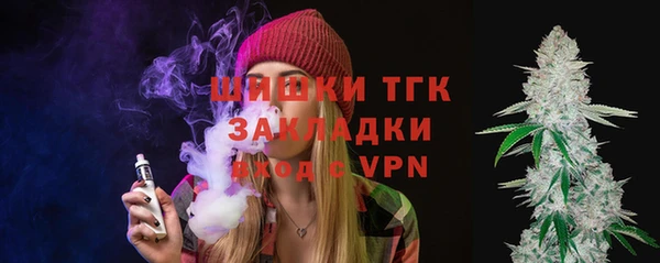 индика Беломорск