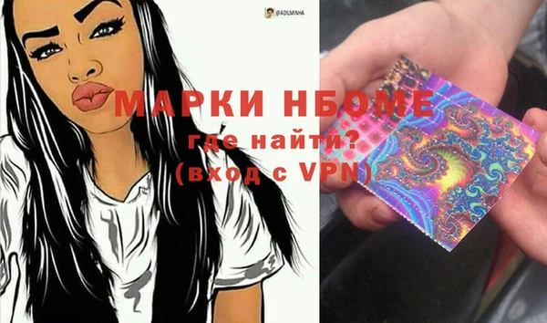 индика Беломорск