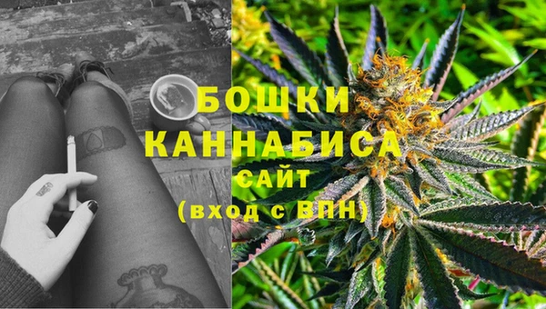 индика Беломорск