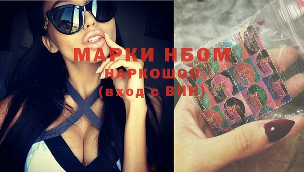 индика Беломорск