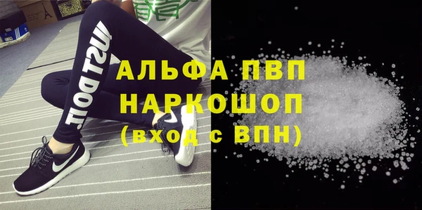 индика Беломорск