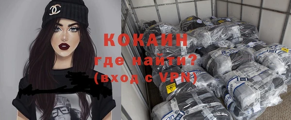 индика Беломорск